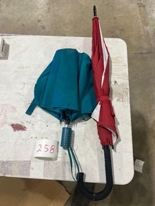 2 UMBRELLAS