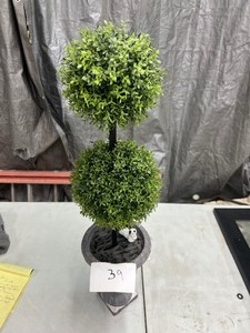 DECORATIVE POT & PLANT