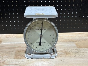 lot 1 image: Vintage American Family Scale