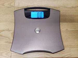 Taylor Digital Scale