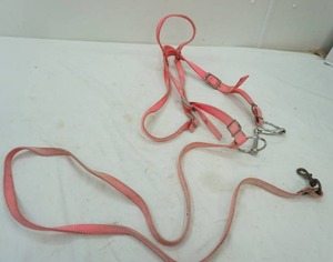 lot 96 image: nylon bridle & bit with lead strap