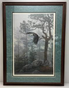 lot 5 image: Framed Behind Glass Pencil Signed Daniel Smith Shrouded Forest Bald Eagle Limited Edition Print 258950 32 12 x 43 14