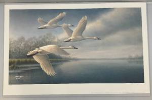 lot 28 image: Unframed James Meger Pencil Signed Fanfare- Trumpeter Swans Print  371250 22 14 x 35 38 Overall Paper Size   (In Protective Envelope)