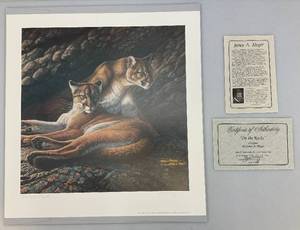 lot 31 image: Unframed James Meger Pencil Signed (ARTIST PROOF) On The Rocks Print 3795 21 14 x 22 Overall Paper Size With COA (In Protective Envelope)