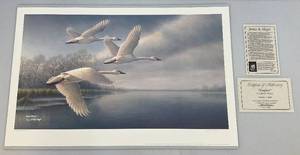 lot 41 image: Unframed James Meger Pencil Signed (ARTIST PROOF) Fanfare- Trumpeter Swans Print  371250  22 14 x 35 38 Overall Paper Size   (In Protective Envelope)