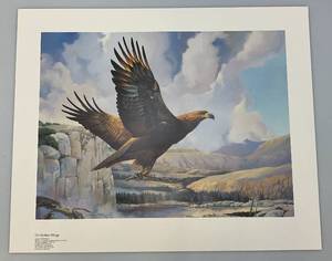 lot 78 image: Unframed Signed Mario Fernandez On Golden Wings Eagle Limited Edition Print 188780   19 12 x 24 Overall Paper Size (In Protective Sleeve)