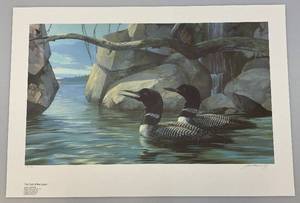 lot 79 image: Unframed Pencil Signed Mario Fernandez The Call Of The Loon Loons  Limited Edition Print 731980  18 12 x 27 12 Overall Paper Size (In Protective Sleeve)