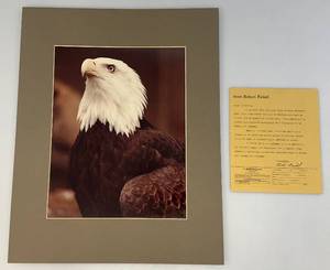 lot 86 image: Vintage Robert Finkel Pencil Signed Limited Edition 91500 Bald Eagle Photograph Unframed Matted 16 x 20 (In Protective Sleeve)