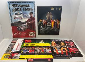 lot 206 image: Misc. NASCAR Posters (Perfect For Man Cave Dcor)