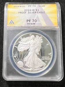 2024-W PROOF AMERICAN SILVER EAGLE ANACS PF70 DCAM