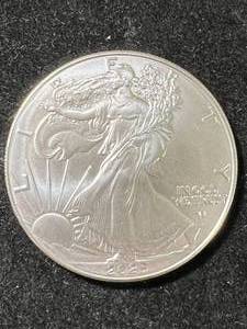 2025 AMERICAN SILVER EAGLE 1 TROY OZ .999 FINE SILVER