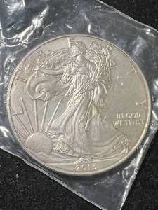 2013 AMERICAN SILVER EAGLE 1 TROY OZ .999 FINE SILVER