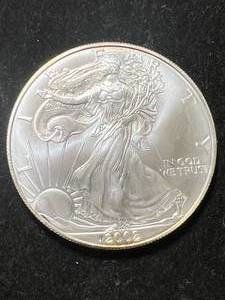 2002 AMERICAN SILVER EAGLE 1 TROY OZ .999 FINE SILVER