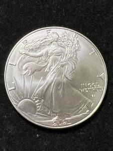 2025 AMERICAN SILVER EAGLE 1 TROY OZ .999 FINE SILVER
