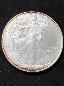 2004 AMERICAN SILVER EAGLE 1 TROY OZ .999 FINE SILVER