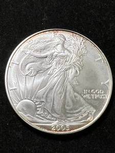 2005 AMERICAN SILVER EAGLE 1 TROY OZ .999 FINE SILVER