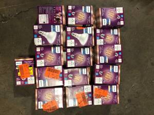 Lot of Assorted Light Bulbs Various Models and Conditions  Customer Returns See Pictures