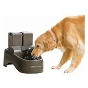 PetSafe Outdoor Dog Pet Water Fountain