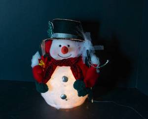 lot 318 image: Fiber Optic Mr. Snowball Snowman