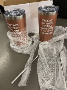 Set of 2 Insulated Tumblers with Inspirational Quote and Metal Straws