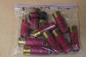 10 12 Gauge Rounds - 8 2-34 Slug, 1 00 Buck, 1 Shorty