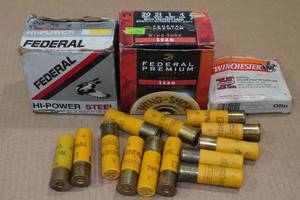43 20 Gauge 2-34 4 Shot Shotshells - Plus 5 Slugs