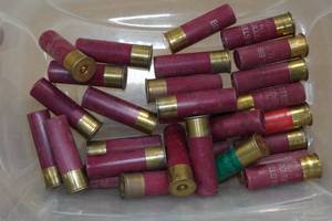 29 12 Gauge 3 Shotshells - BB, F, T Shot