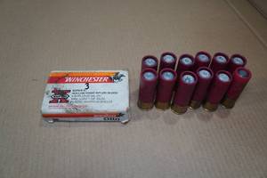 15 12 Gauge 2-34 Slugs