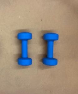 lot 24 image: 2 - 10lb Weights