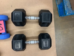 lot 26 image: 2 - 45lb Weights
