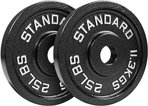 lot 42 image: 25lb x 2 Steel Plates