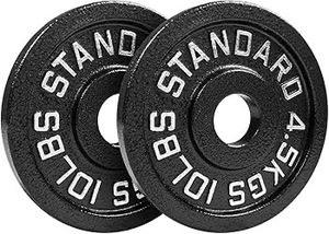 lot 43 image: 10lb x 2 Steel Plates
