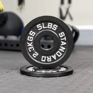 lot 44 image: 5lb x 2 Steel Plates