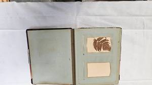 Vintage Photo Album and Dish Assortment