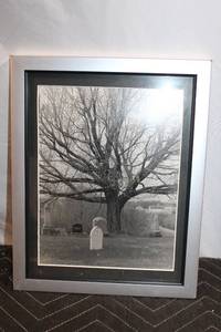 lot 393 image: Black and White Photograph of Majestic Tree in Cemetery
