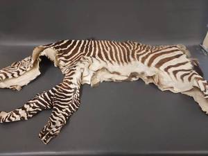 lot 13W image: Exquisite Zebra Hide Rug