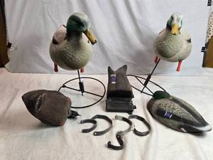 lot 193 image: Duck Decoys with Stands and Accessories
