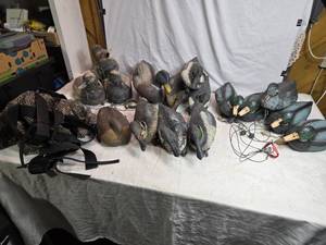 lot 194 image: 16 Duck Hunting Decoys with Accessories