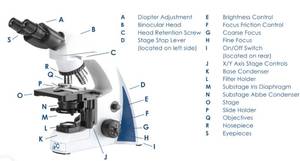 MSRP $1800 LW Scientific I4 Infinity Power Light Up Binocular Microscope With&nbsp&nbsp4-Objectives - Excellent Working Condition