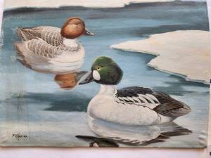 lot 199 image: American Goldeneye Oil Painting