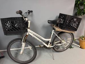 lot 64 image: Used Roadmaster Mountain Bike with Dual Storage Crates
