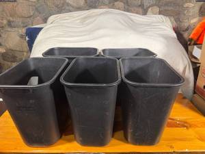 lot 120 image: Set of 5 Black Rubbermaid Commercial Wastebaskets