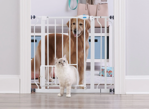 lot 646 image: Carlson Extra Wide Walk-Through Pet Gate with Small Pet Door, Fits Openings 29-38.5 Wide