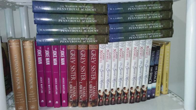 lot 768 image: NEW Hard Cover Books (29)  Great for Resellers or Book Club.