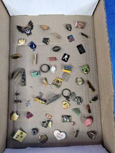Lot of Magnetic Pins