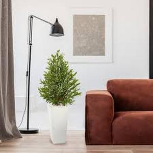 Nearly Natural IndoorOutdoor 4 ft. White Planter Artificial Olive Cone Topiary Tree   Customer Returns See Pictures