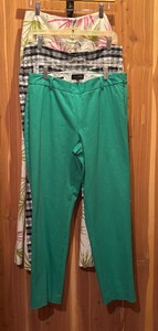 lot 215 image: Talbots Fun Spring Slacks in Green, Palm Trees and Black & White Checks