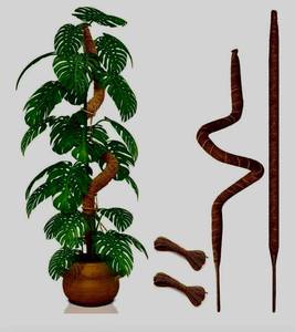 lot 56 image: 5x Bendable Plant Stakes-Twine & Strapping