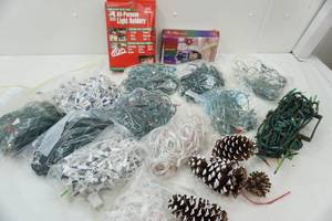 lot 20 image: Christmas Light Lot