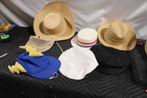 lot 17 image: Collection of 7 Assorted Hats and Caps